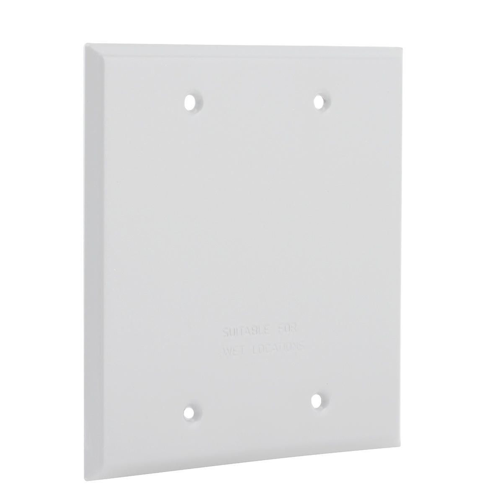 2-Gang Weatherproof Cover Blank, White