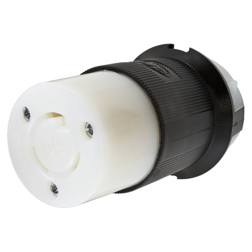 Mayer-DDS-HBL2313-1