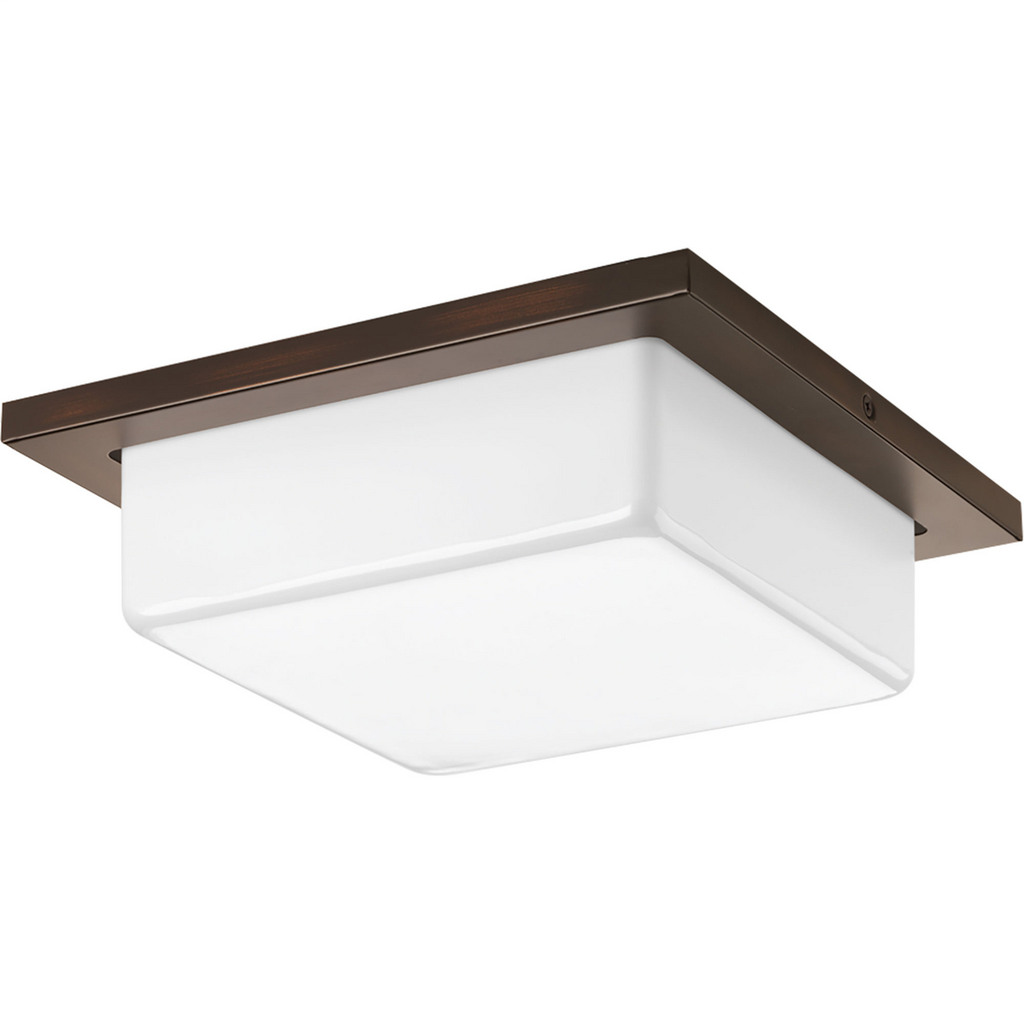 Product image for PROG P3411-2030K9 Transit 1-17W LED