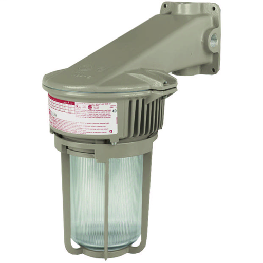 70W Metal Halide Quadri-Volt 3/4" Wall Mount with Globe and Guard