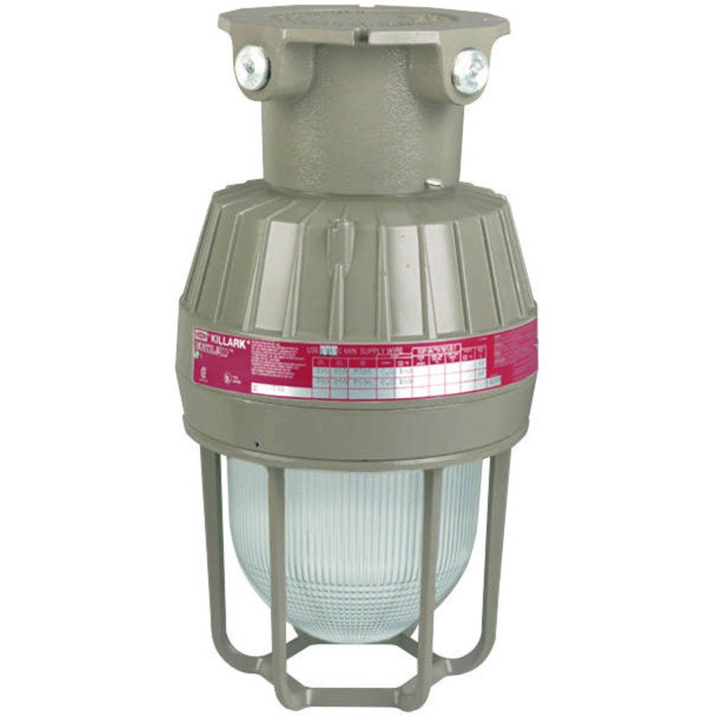 EMI Series- Aluminum 150W Incandescent Light Fixture - 3/4" Ceiling Mount With Guard - 250VAC Max