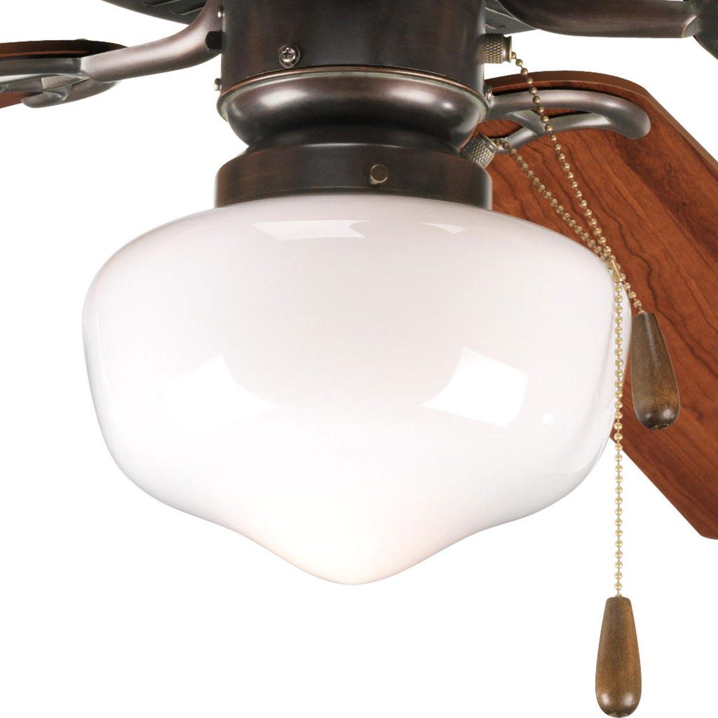 Product image for PROG P2601-20 1-60W MED FAN LT KIT