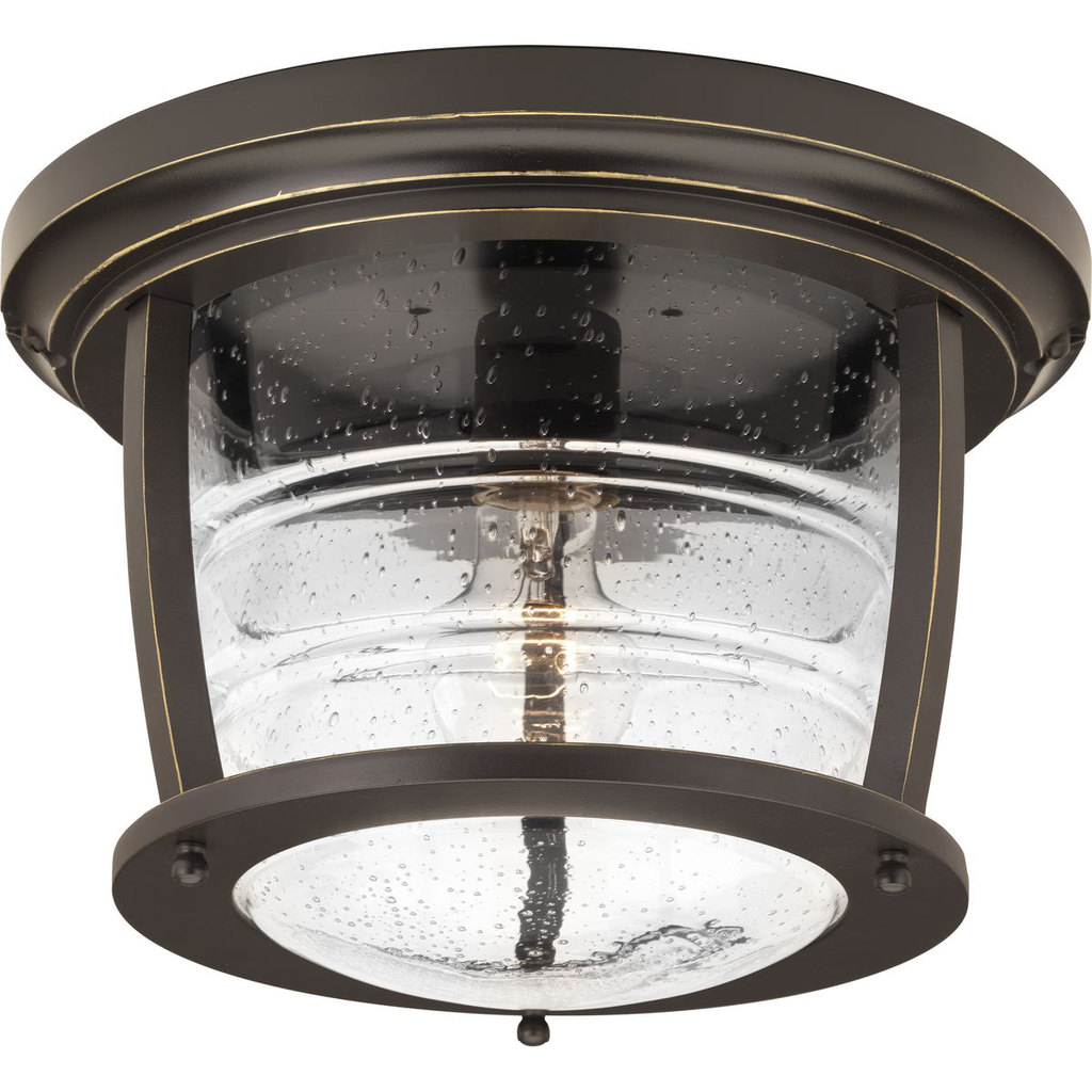 Product image for PROG P5638-108 1-100W MED OUTDOOR C