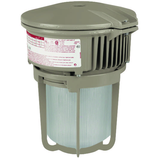 50W Metal Halide Quadri-Volt 3/4" Pendant with Globe and Guard