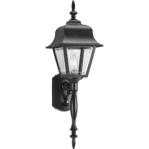 Non-Metallic Incandescent One-Light Wall Lantern - P5657-31
