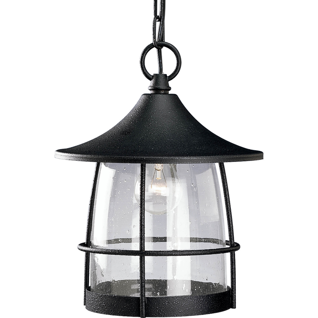 Product image for PROG P5563-71 1-100W MED CH HUNG LA