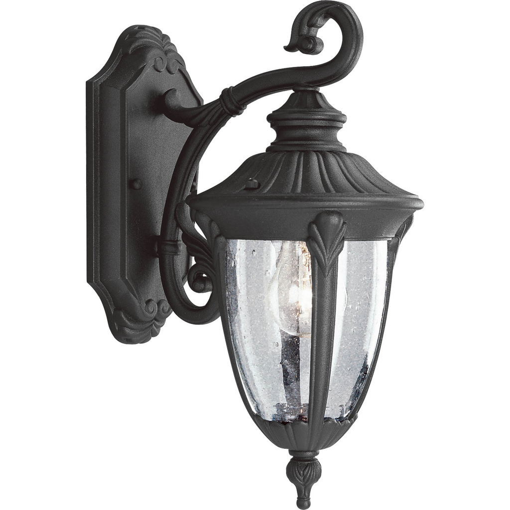 Product image for Progress P5820-31 Meridian Collection One-Light Small Wall Lantern
