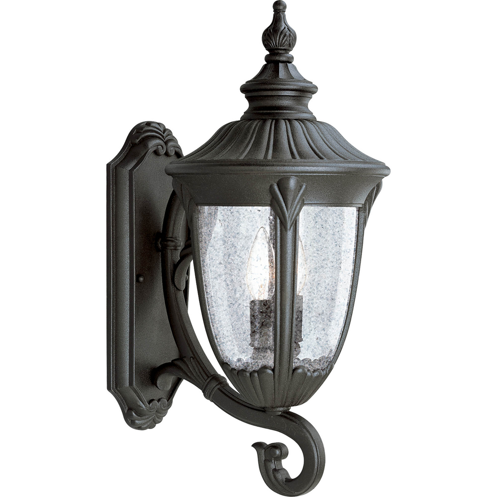 Product image for Progress P5823-31 Meridian Collection Two-Light Large Wall Lantern