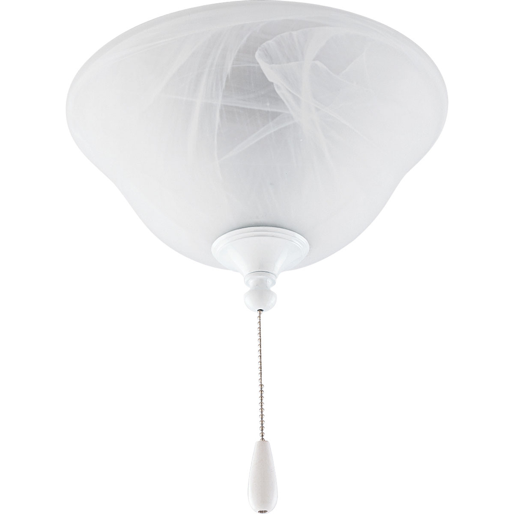 Product image for PROG P2621-30EBWB AirPro 2-Light Ce