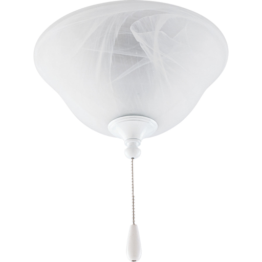 Product image for PROG P2621-30EBWB AirPro 2-Light Ce