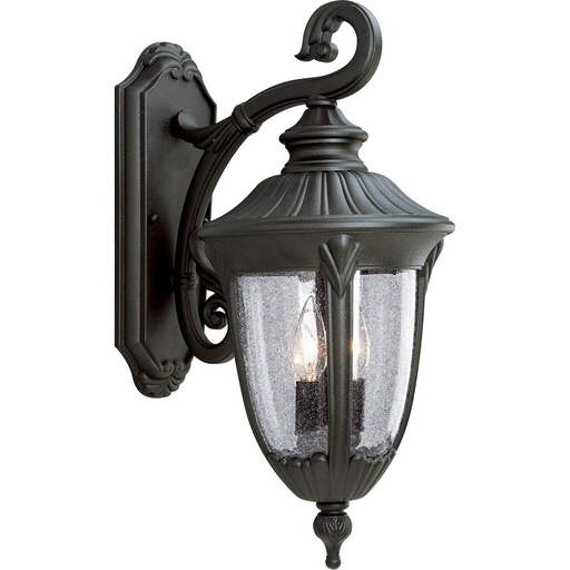 Product image for Progress P5822-31 Meridian Collection Two-Light Medium Wall Lantern