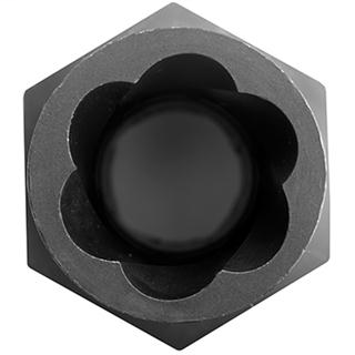 DDS_843845