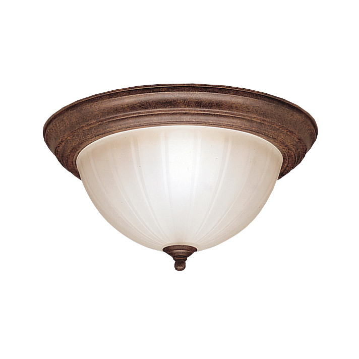 2 Light Flush Mount Ceiling Light TZ