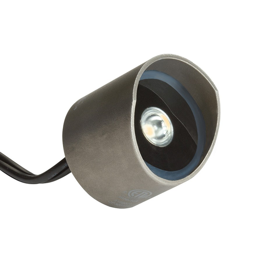 2-in-1 LED Accent - Underwater and Out of Water SS