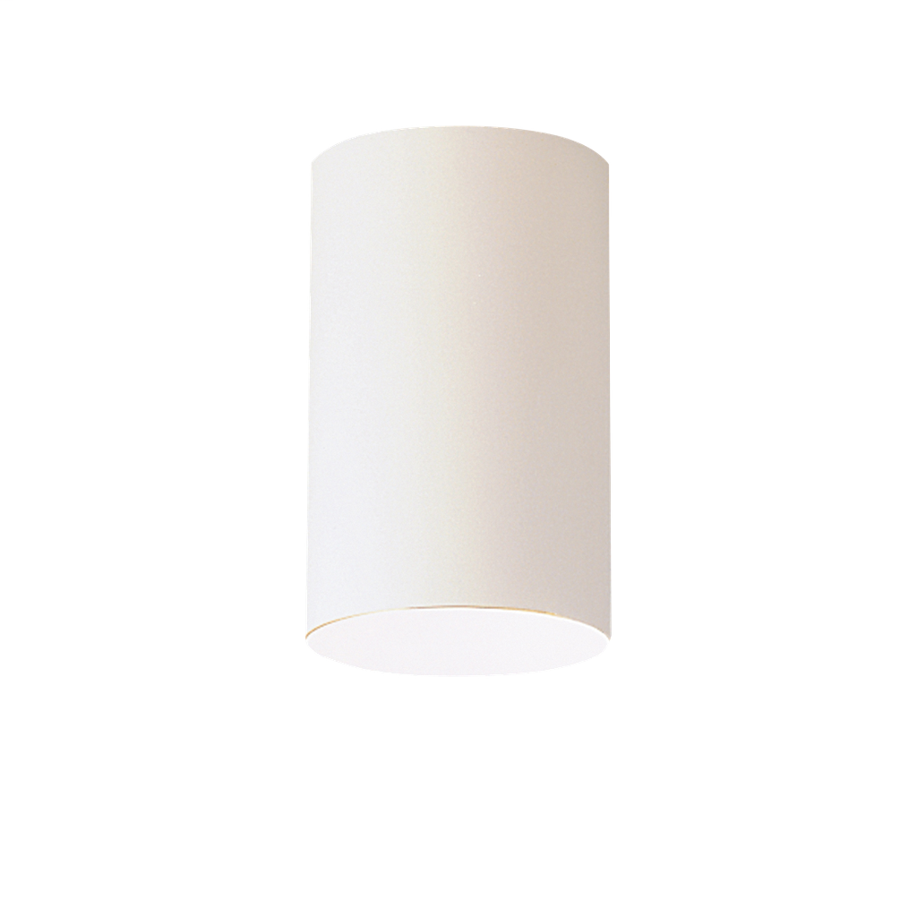Outdoor Flush Mt 1Lt