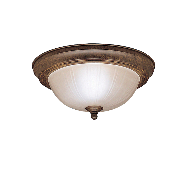 2 Light Flush Mount Ceiling Light TZ