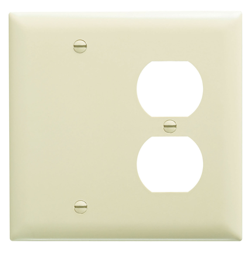 Pass & Seymour TP138-I 2-Gang 1-Duplex Receptacle 1-Blank Ivory Nylon Standard Combination Unbreakable Wallplate Pass & Seymour TP138-I 2-Gang 1-Duplex Receptacle 1-Blank Ivory Nylon Standard Combination Unbreakable Wallplate