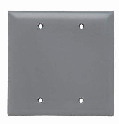 Pass & Seymour TP24-GRY 2-Gang Blank Gray Nylon Standard Unbreakable Wallplate Pass & Seymour TP24-GRY 2-Gang Blank Gray Nylon Standard Unbreakable Wallplate