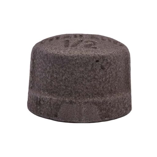 4" SA Black Cap FNPT