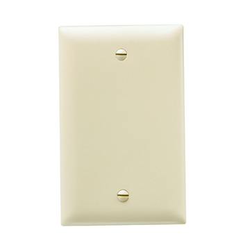 Pass & Seymour TP13-GRY 1-Gang Blank Gray Nylon Standard Unbreakable Wallplate Pass & Seymour TP13-GRY 1-Gang Blank Gray Nylon Standard Unbreakable Wallplate