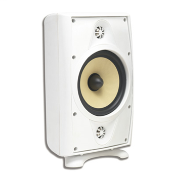 AccentPLUS2 6.5" Outdoor Loudspeaker