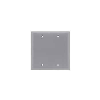 Blank Plate -- Box Mounted, Two Gang, Gray