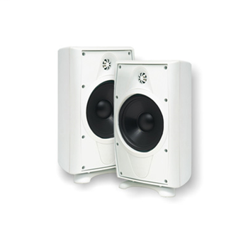 AccentPLUS1 6.5" Outdoor Loudspeaker