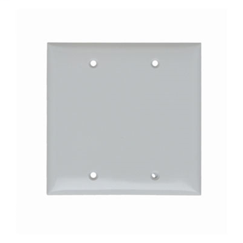 Blank Plates -- Box Mounted, Two Gang, White