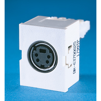 TracJack Module, Mini Din, SVHS, 110 termination, Fog White