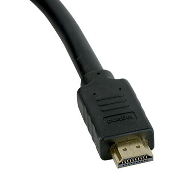 DDS_5811009