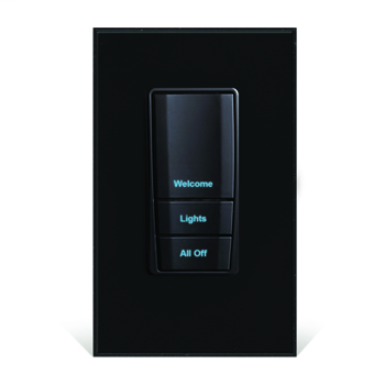 EasyTouch II Wirelink ScenePoint Universal Dimmer and Keypad Station