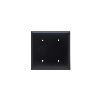 Blank Plate -- Strap Mounted, Two Gang, Black