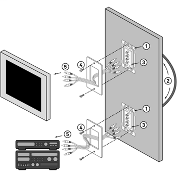 DDS_3043468