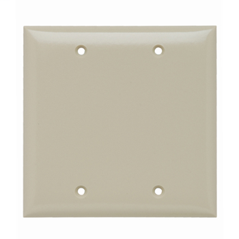 Blank Plates -- Box Mounted, Two Gang, Ivory