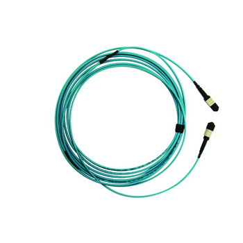 12F Array Cord Premium Performance Laser Optimized (50/125) OM3 MTP(F)-MTP(M) Type A OFNP 1M