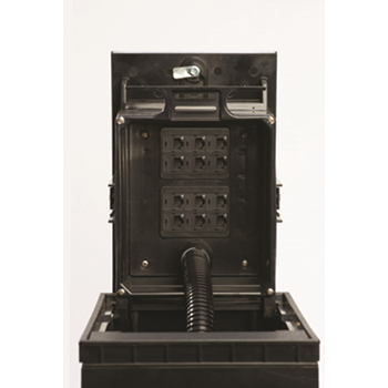 DDS_3120827