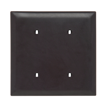 Pass & Seymour TP24 2-Gang Blank Brown Nylon Standard Unbreakable Wallplate Pass & Seymour TP24 2-Gang Blank Brown Nylon Standard Unbreakable Wallplate