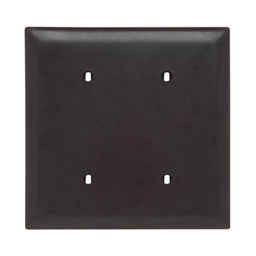 Pass & Seymour TP24 2Gang Wall Plate, Blank, Nylon, Standard - Brown