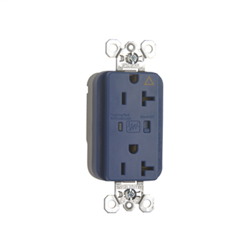 Product image for P&S PTIG5362-BLSP 20A/125V DUP RCPT