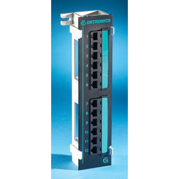 Product image for Ortronics OR-PMP5E1289 12-Port Painted Blank Aluminum T568A/T568B Category 5E 110 Patch Panel