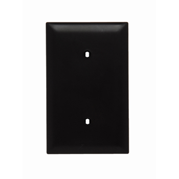 Pass & Seymour TP14 1-Gang Blank Brown Nylon Standard Unbreakable Wallplate Pass & Seymour TP14 1-Gang Blank Brown Nylon Standard Unbreakable Wallplate