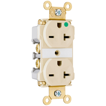 Product image for HOSP GRD DUP RECEPT 20A/250VAC GRAY