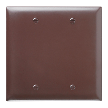 Blank Plates -- Box Mounted, Two Gang, Brown TP23