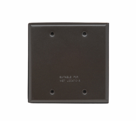 Product image for P&S WPB2BR WP COVER 2G BLANK W/GASK