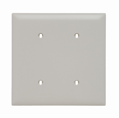 Product image for Pass & Seymour TP24-LA 2Gang Wall Plate, Blank, Nylon, Standard - Light Almond