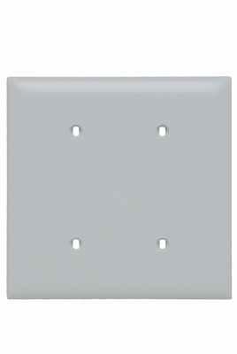 Product image for Pass & Seymour TP24-W 2Gang Wall Plate, Blank, Nylon, Standard - White