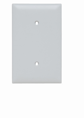 Product image for Pass & Seymour TP14-W 1Gang Wall Plate, Blank, Nylon, Standard - White