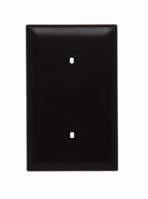 Pass & Seymour TP14 1Gang Wall Plate, Blank, Nylon, Standard - Brown Product image for Pass & Seymour TP14 1Gang Wall Plate, Blank, Nylon, Standard - Brown