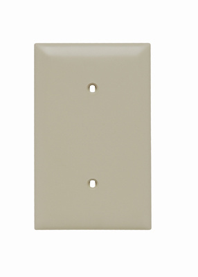 Product image for Pass & Seymour TP14-I 1Gang Wall Plate, Blank, Nylon, Standard - Ivory