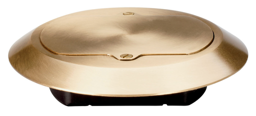 Product image for Pass & Seymour TM1542-TRCF 6.5 x 0.437 Inch NEMA 5-15R Brass Round Floor Box Cover